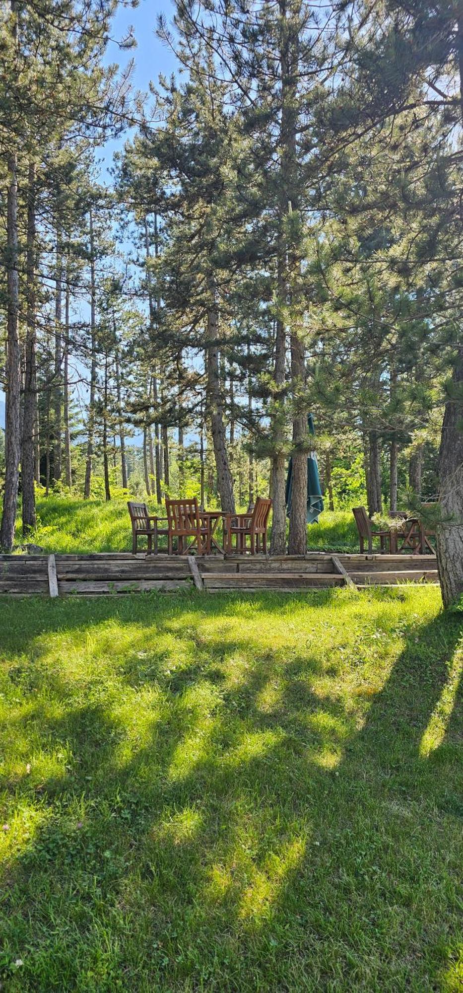 Green Peaks Suite In Pirin Golf & County Club Razlog Kamer foto